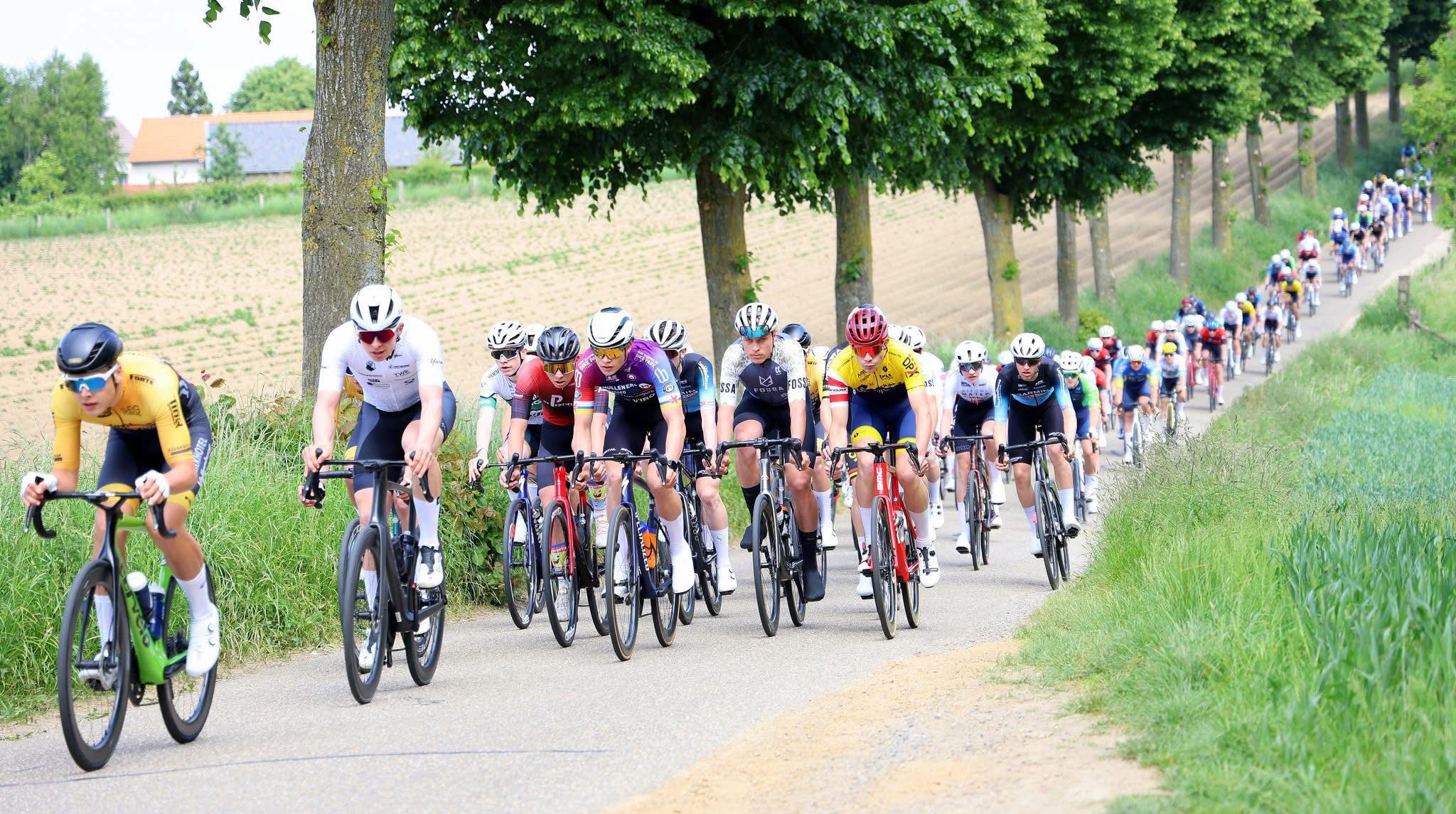 GIANT SCHWALBE TOEKOMSTCUP SIMPELVELD